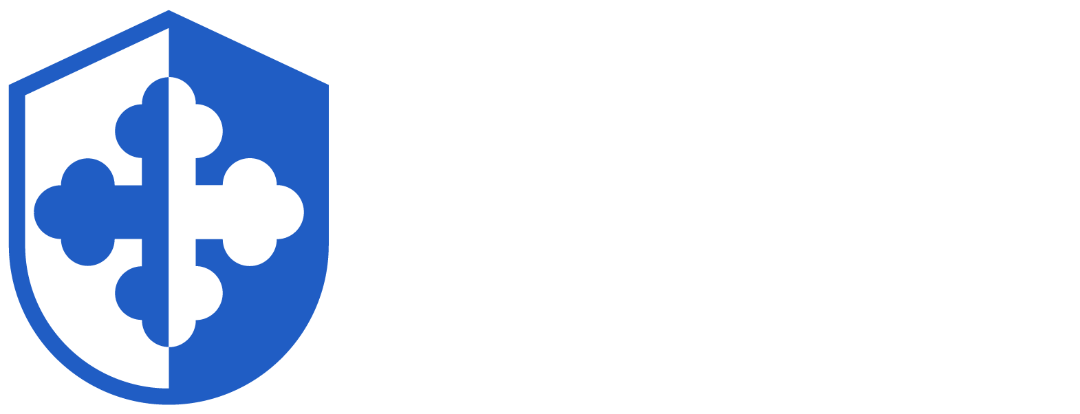 DyP Seguridad