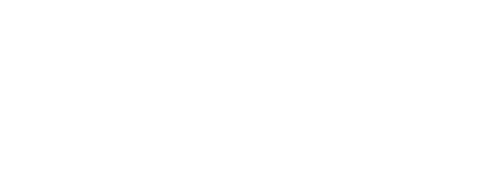 DyP Seguridad